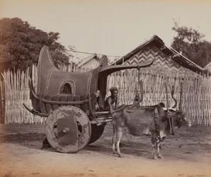 Chariot de campagne, Birmanie (1886-88)